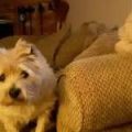 Max_and_Daleliah_Anna_Mullins_crop_d9b1797fa3e8a651cbce0159a85e410e[1]